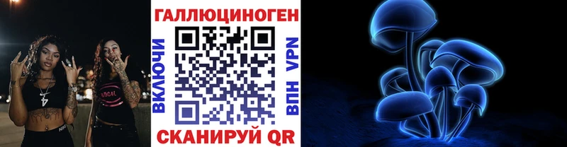 Галлюциногенные грибы GOLDEN TEACHER  Купить где  Сокол 